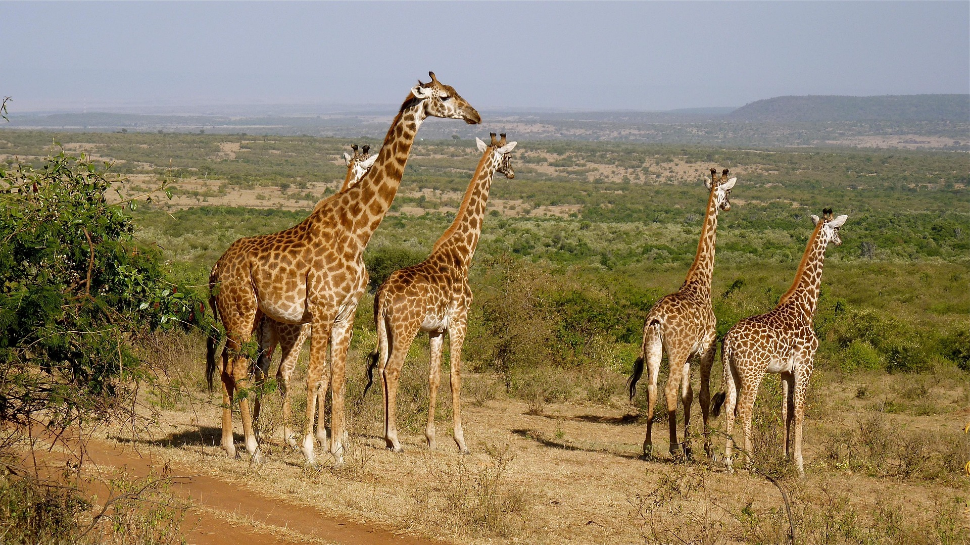 NAIROBI NATIONAL PARK